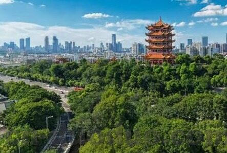 足球竞猜比分2 2-足球竞猜中的2:2奇迹，一场数字背后的激情与智慧